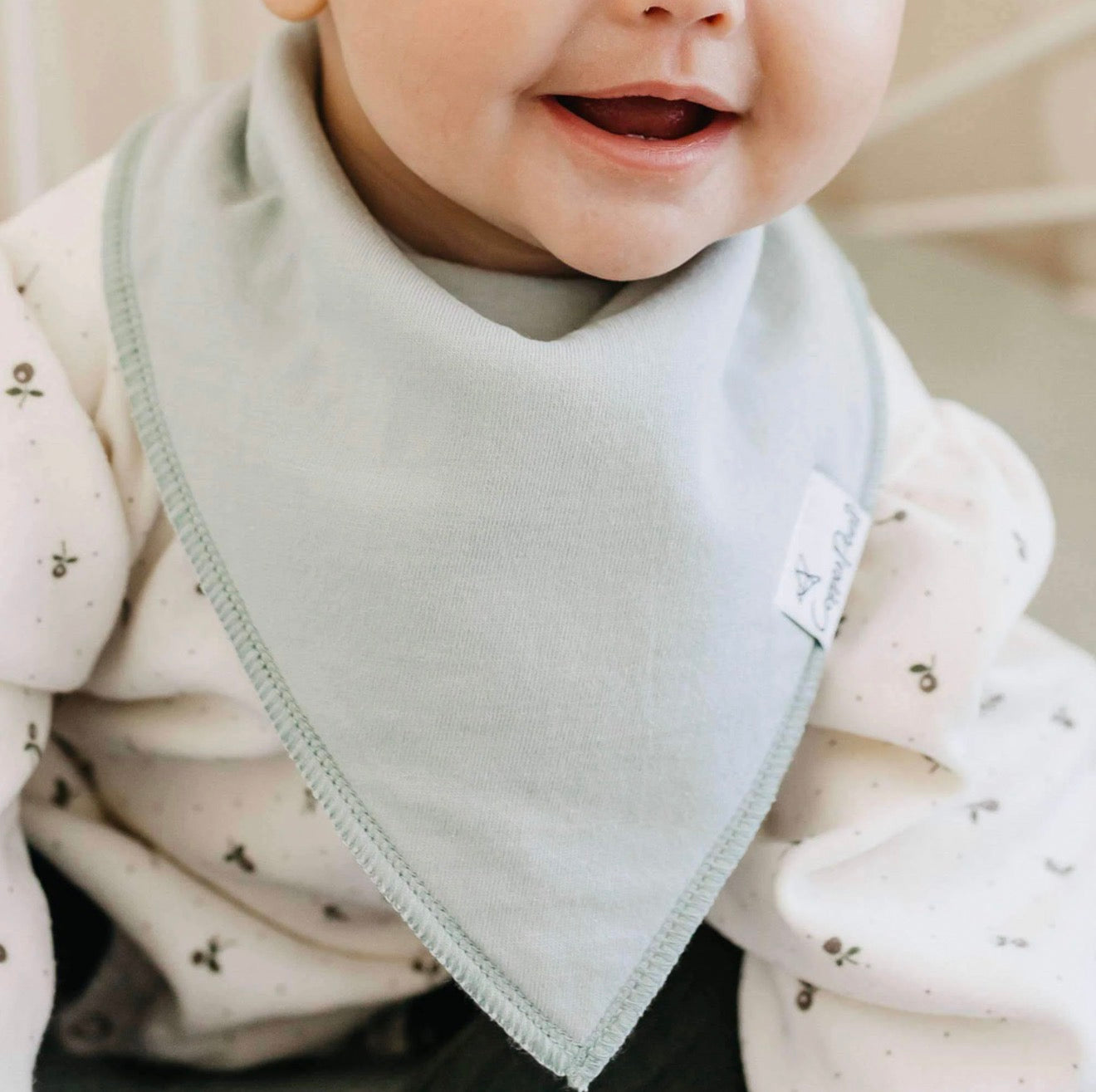 Copper Pearl 4 Pack Bandana Bibs in “Rex”