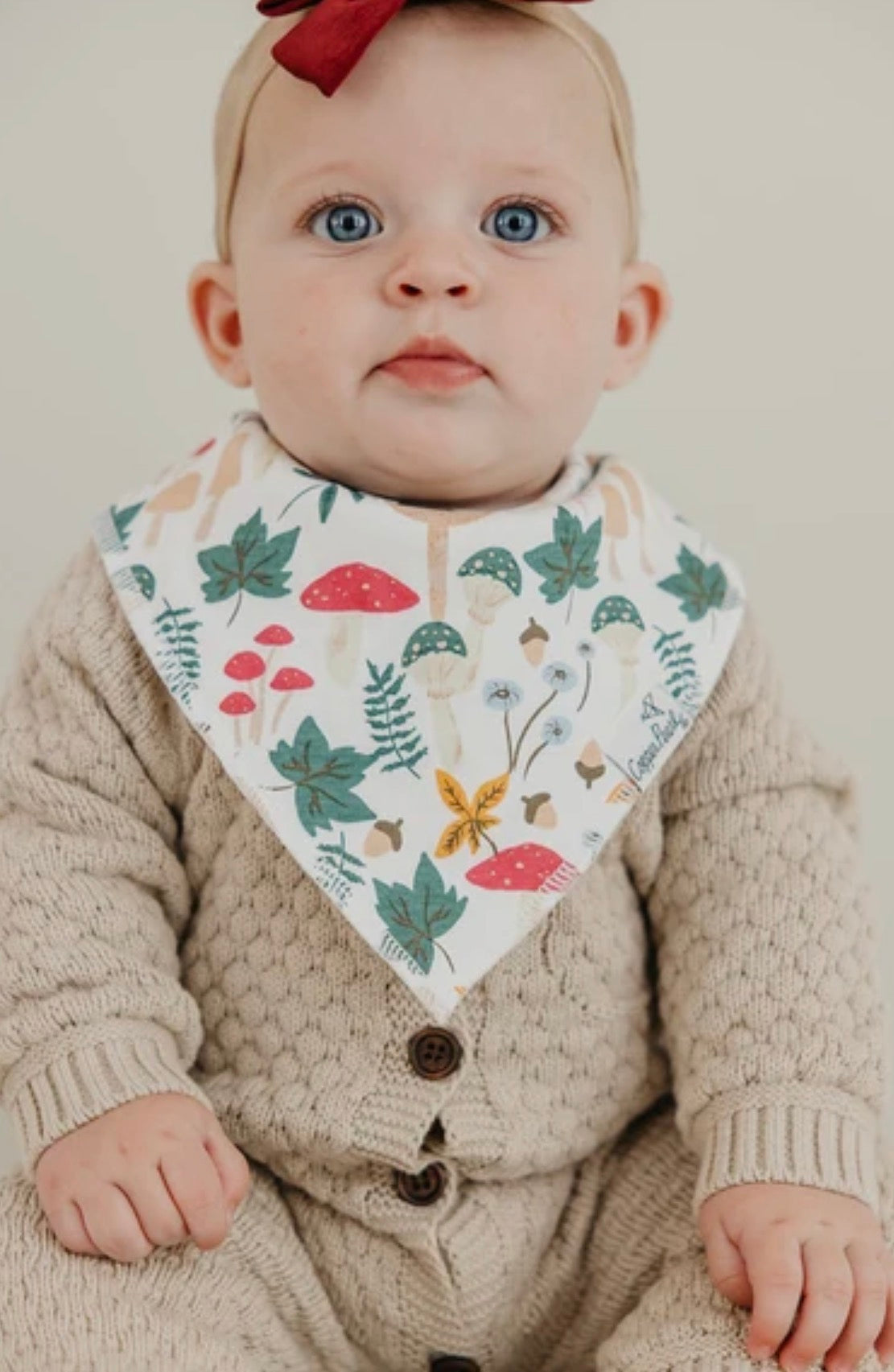 Copper Pearl 4 Pack Bandana Bibs in “Ivy”