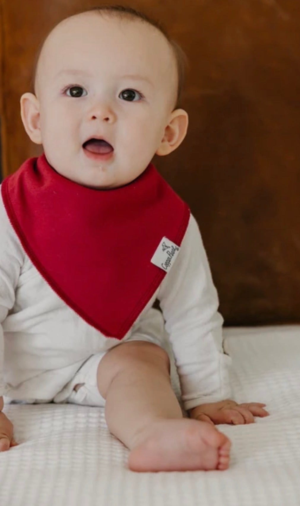 Copper Pearl 4 Pack Bandana Bibs in “Ivy”