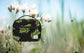 Herschel Pop Quiz Lunchboxes