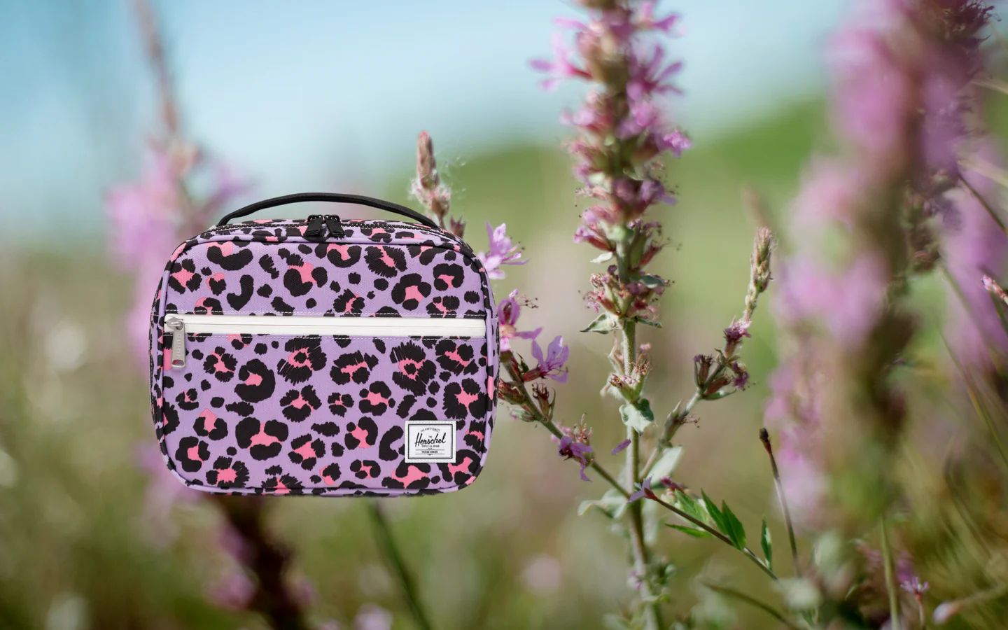 Herschel Pop Quiz Lunchboxes