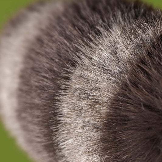 Jellycat Trixiwoo Raccoon