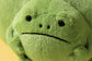 Jellycat Ricky Rain Frog Pouch