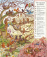 Grand old oak and the birthday ball : Brown Bear Wood Search & Find Book