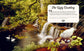 Step inside a fairytale : A Collection of Classic Stories