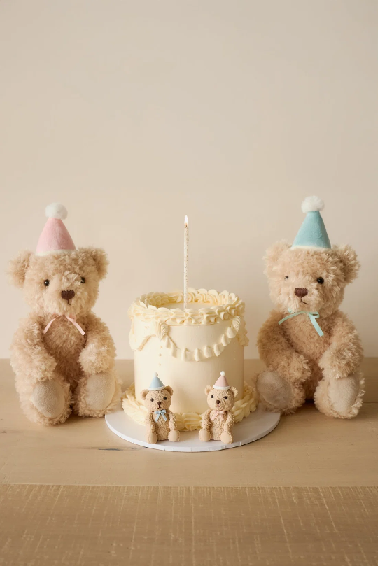 Jamie Kay Snuggle Bunnies - Birthday Arthur in Fairy