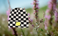 Herschel Elmer Beanie in Checkerboard