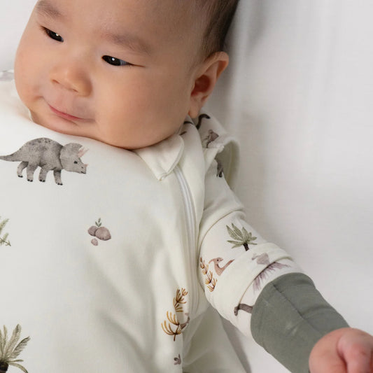 Belan J 1.0 TOG Sleep Bag in Dinoland