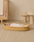 Quincy Mae Bamboo Knotted Baby Hat in Fern