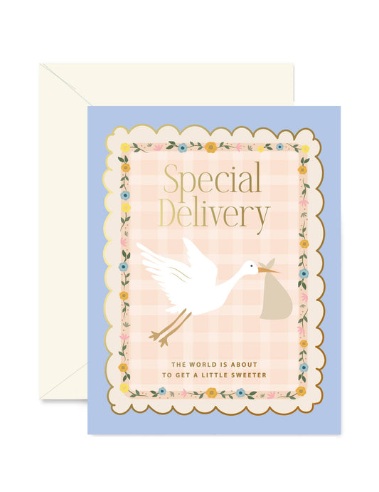 Ginger P. Designs - Stork Special Delivery Greeting Card
